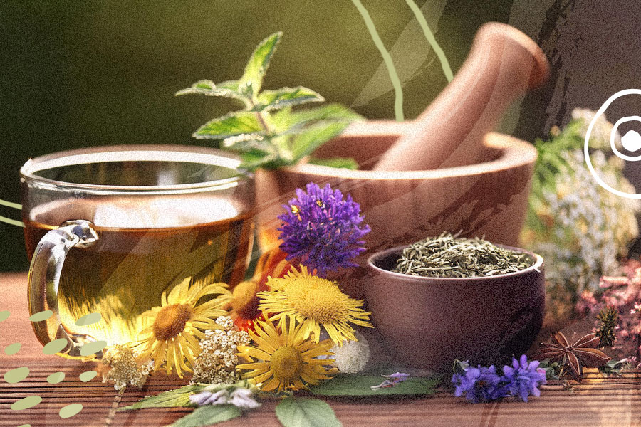 herbalism classes